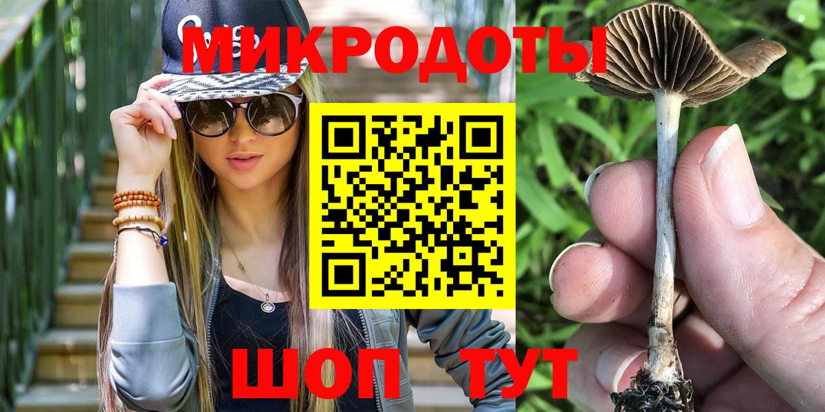 Псилоцибиновые грибы мухоморы Куйбышев